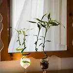 Hotell Matina Mykonos Town