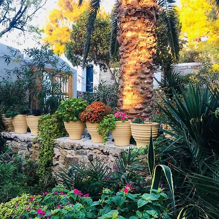 Hotel Matina Mykonos Town