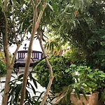 Hotel Matina