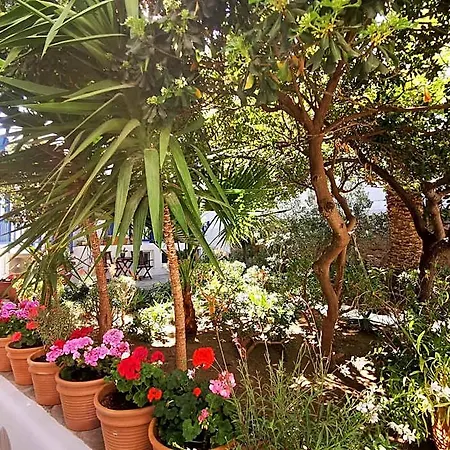 Hotell Matina Mykonos Town