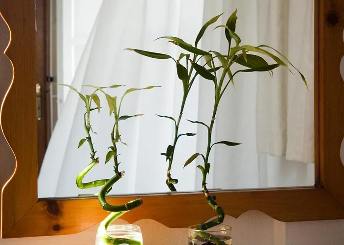 Szálloda Matina Mykonos Town