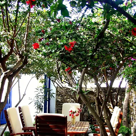 Отель Matina Mykonos Town